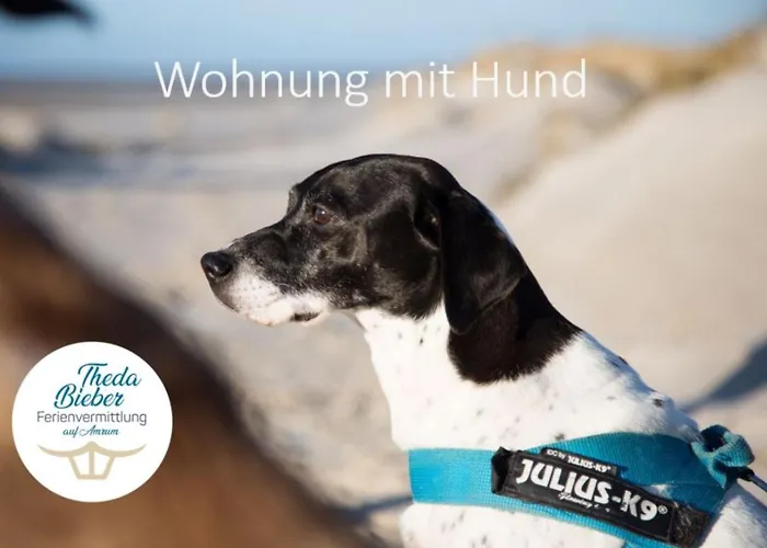 Appartement Adas Hues - 2 *